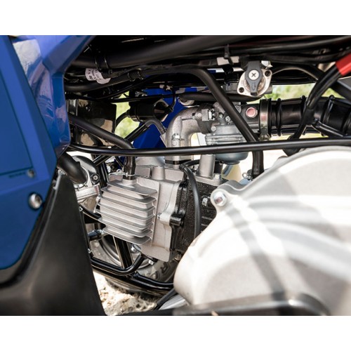 Beginner-Friendly Four-Stroke Performance