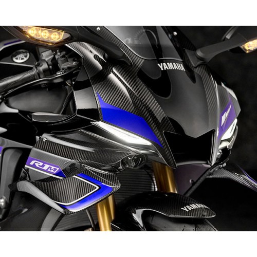 MotoGP Inspired Winglets